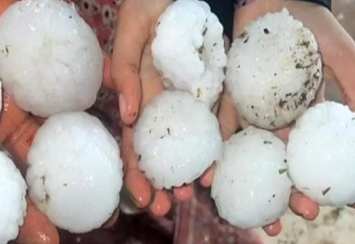 Şanlıurfa’da Dolu Ziyan Tespiti