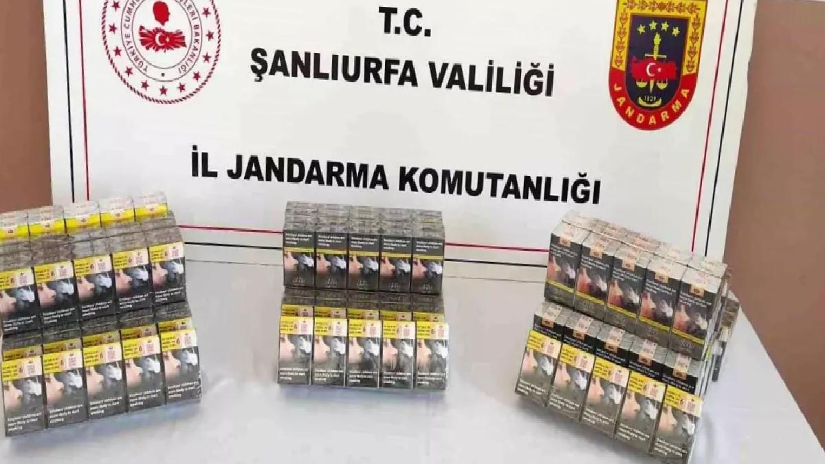 Şanlıurfa’da Gümrük Kaçağı Sigara Operasyonu