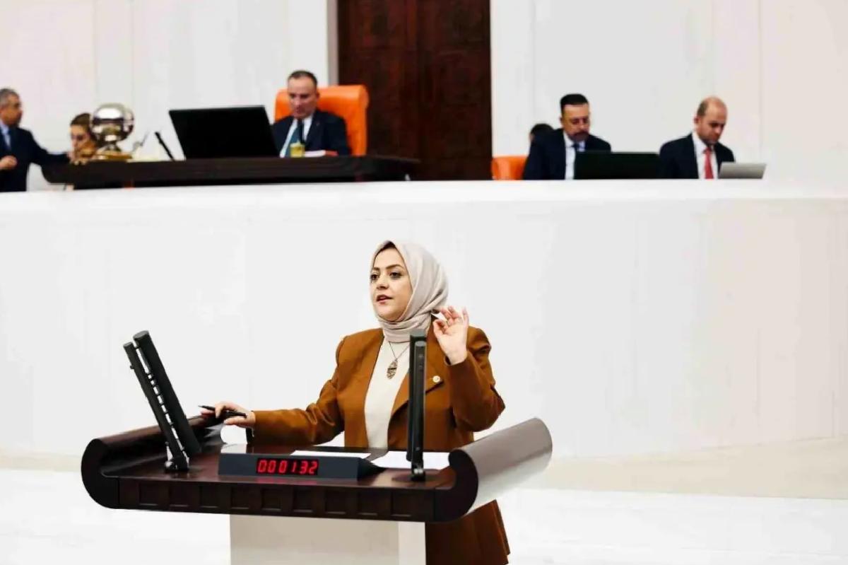Sema Silkin Ün: Bütçe Açığı İstihdam Sorunu