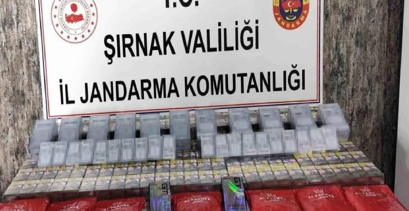 Şırnak’ta Kaçak Eser Operasyonu: 22 Gözaltı