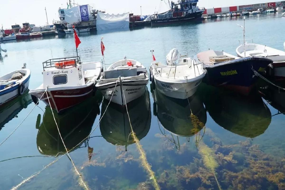 Tekirdağ’da Balıkçılar Denize Açıldı