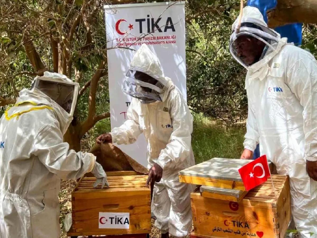TİKA, Sudan’da Arıcılığa Dayanak Verdi