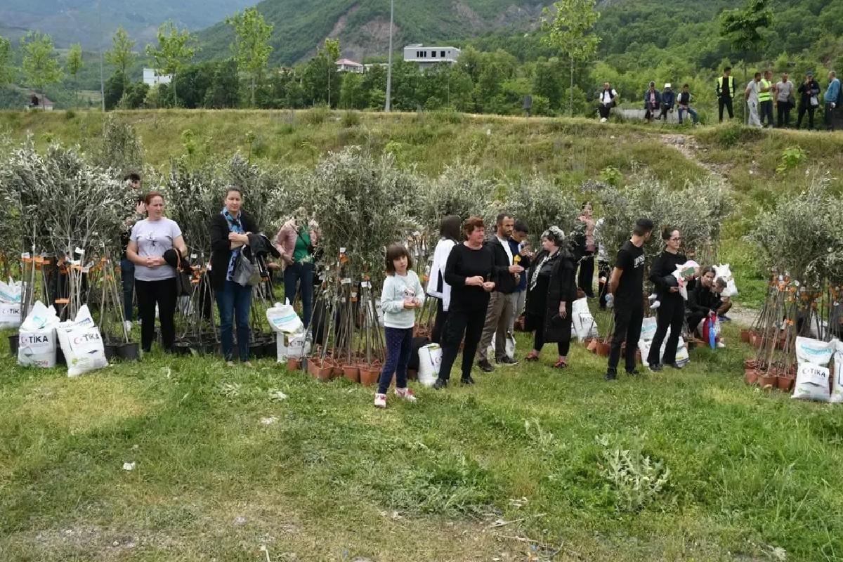 TİKA’dan Arnavutlara Zeytin Fidanı Dayanağı