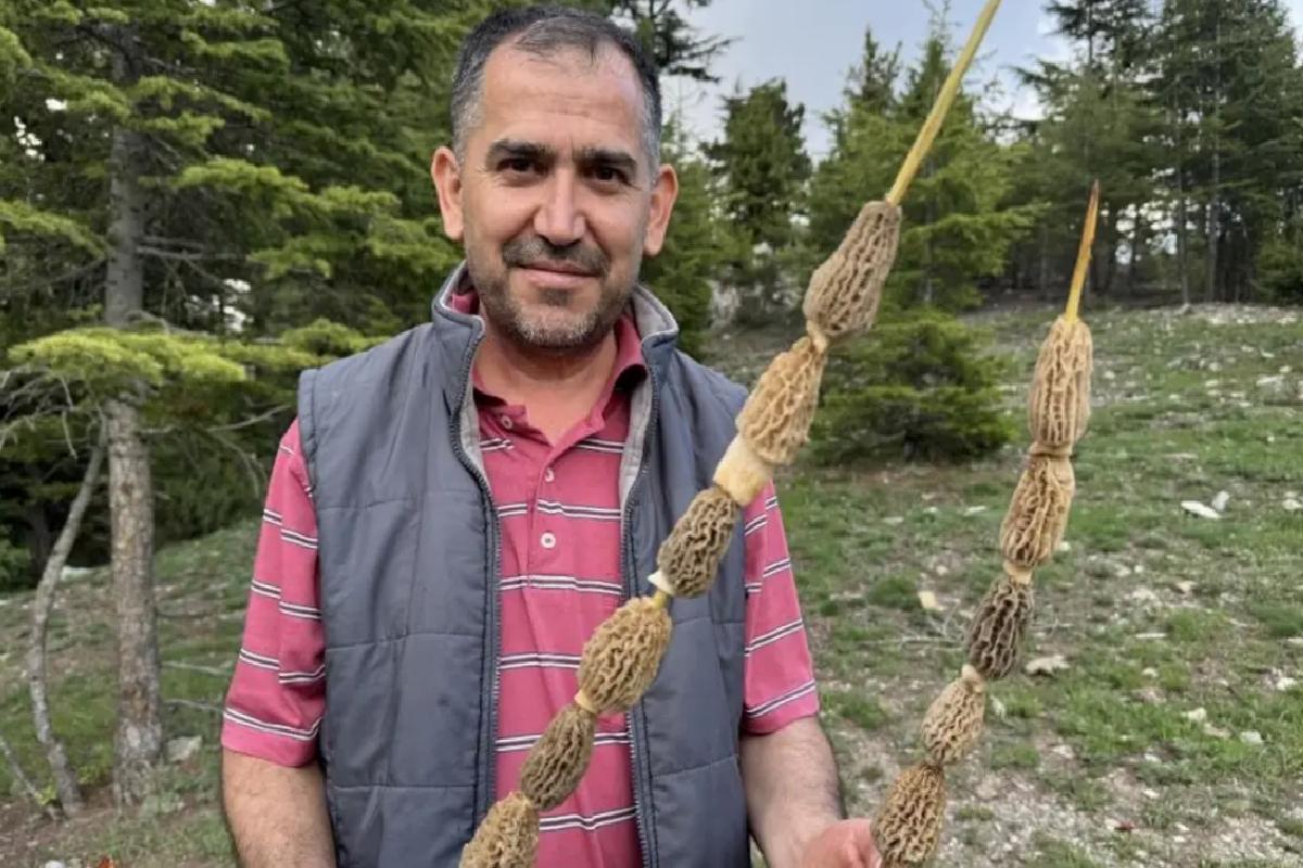 Toplaması tutku, kilosu 900 lira! Altın bulan bu kadar sevinmiyor