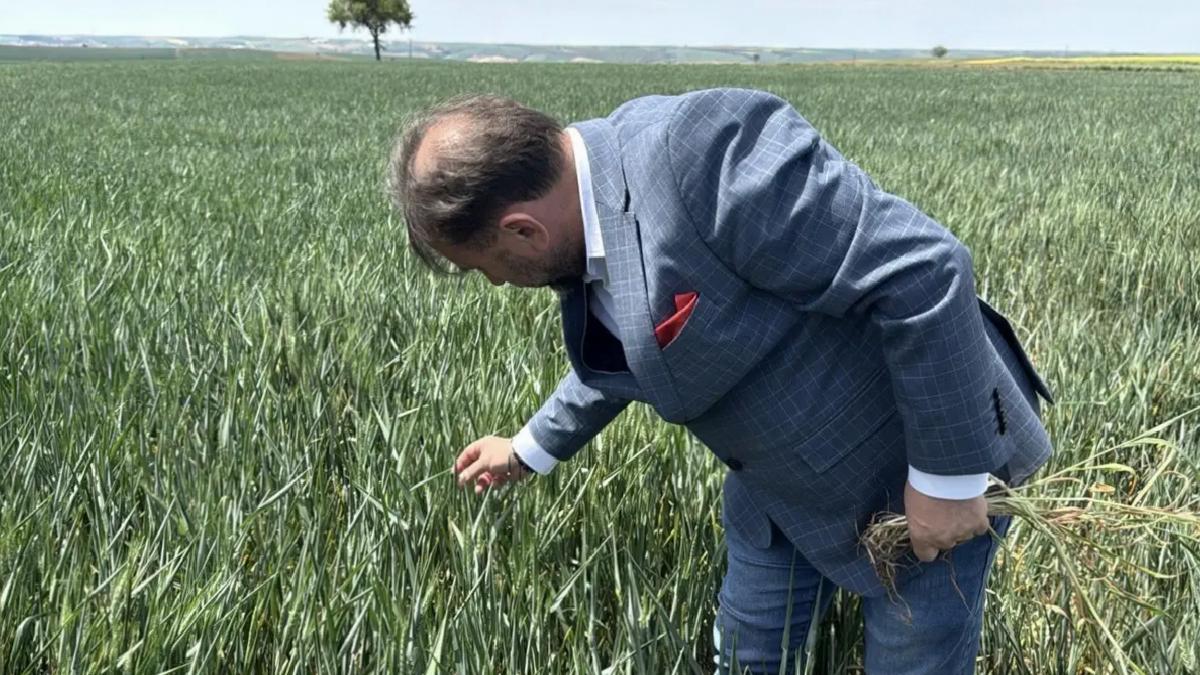 Trakya’da Kuraklık Tehlikesi