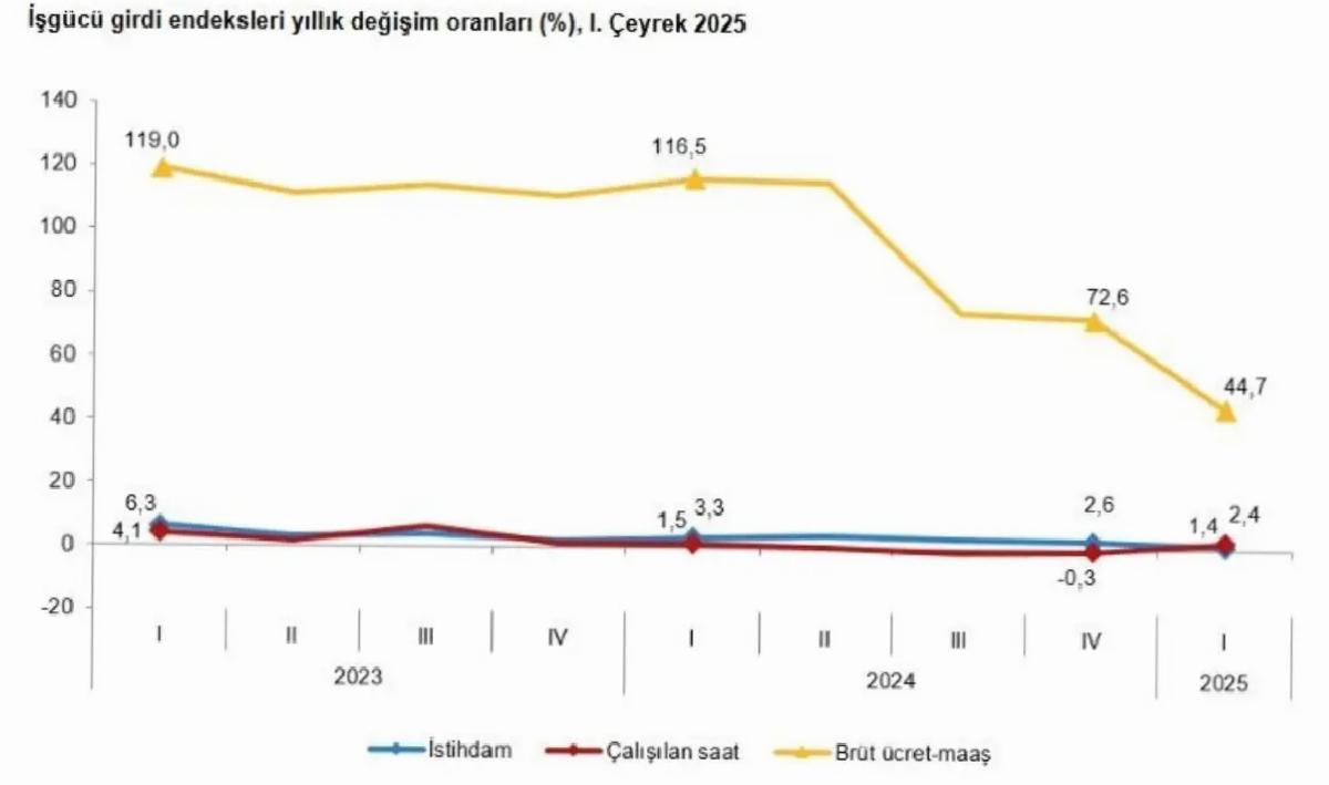 TÜİK 2025 İş Gücü Datalarını Açıkladı