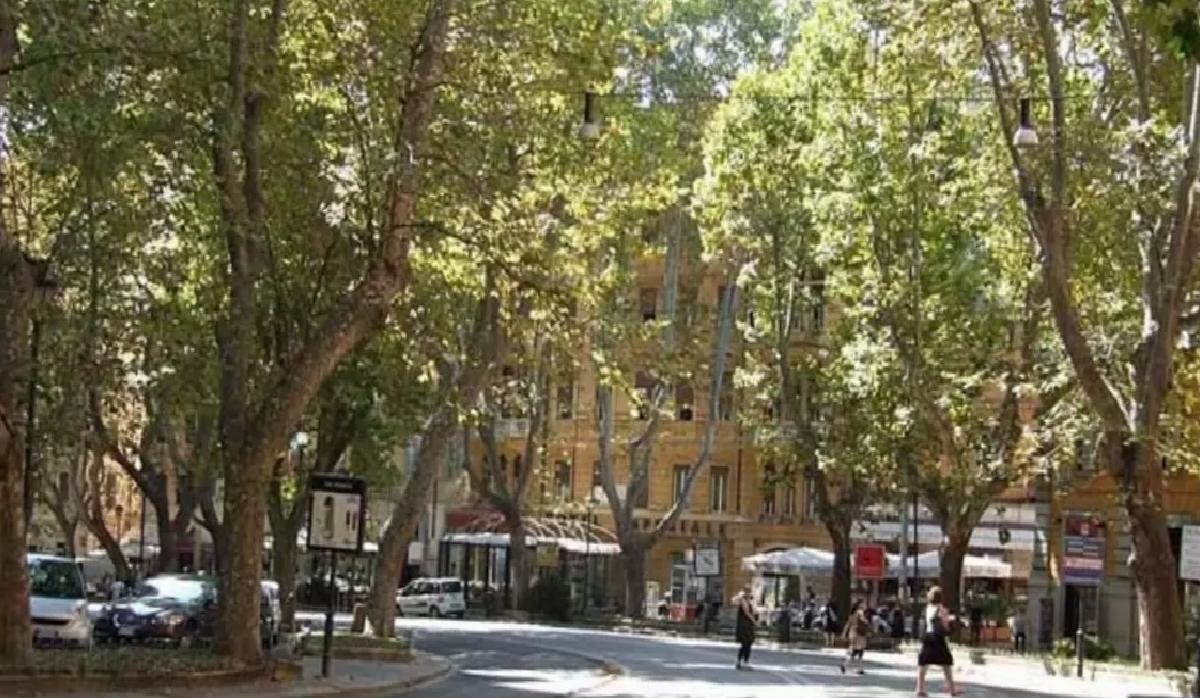 Turist Antik Yapıtı Skuterle Taşırken Yakalandı