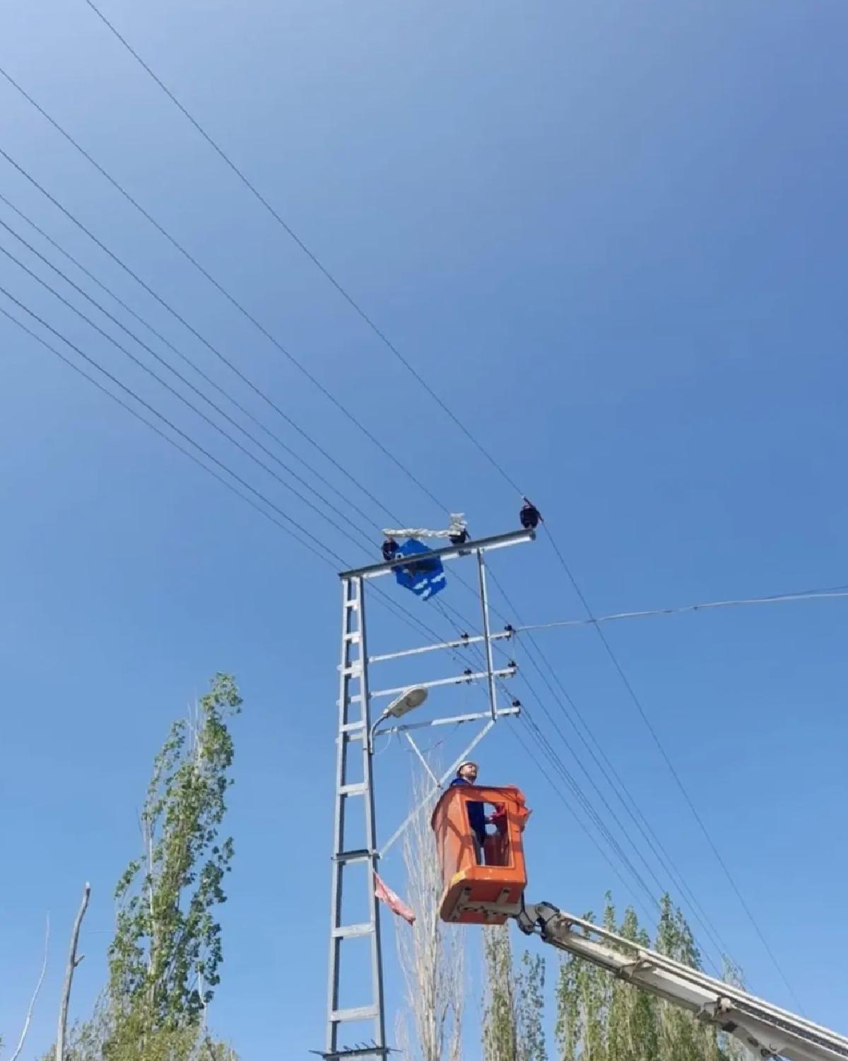 Uçurtmalar Tellere Takıldı