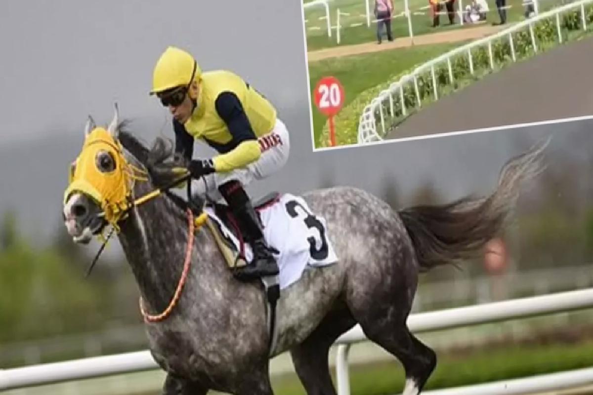 Ünlü jokey Halis Karataş attan düştü! İşte son durumu