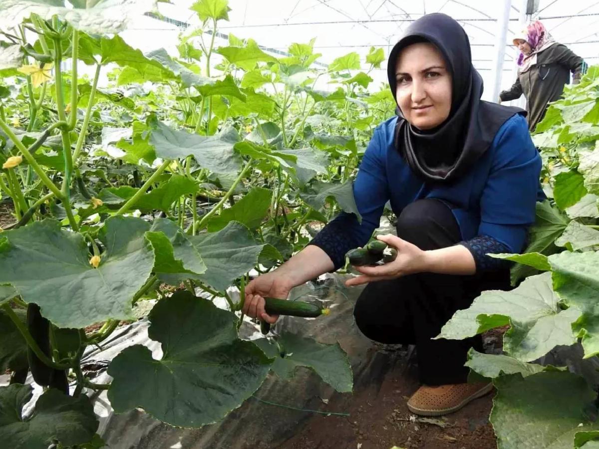 Yavuzeli’nde Bayanlar Seracılıkta Muvaffakiyete Koşuyor