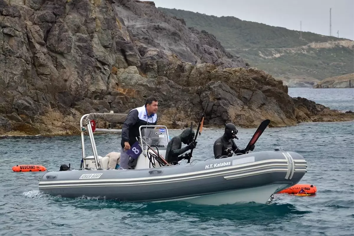 Zıpkınla Balık Avı Şampiyonası Didim’de