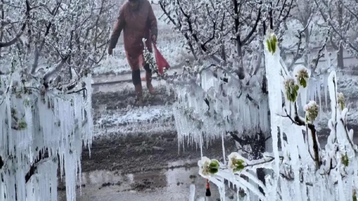 Zirai Don Komitesi Toplanıyor
